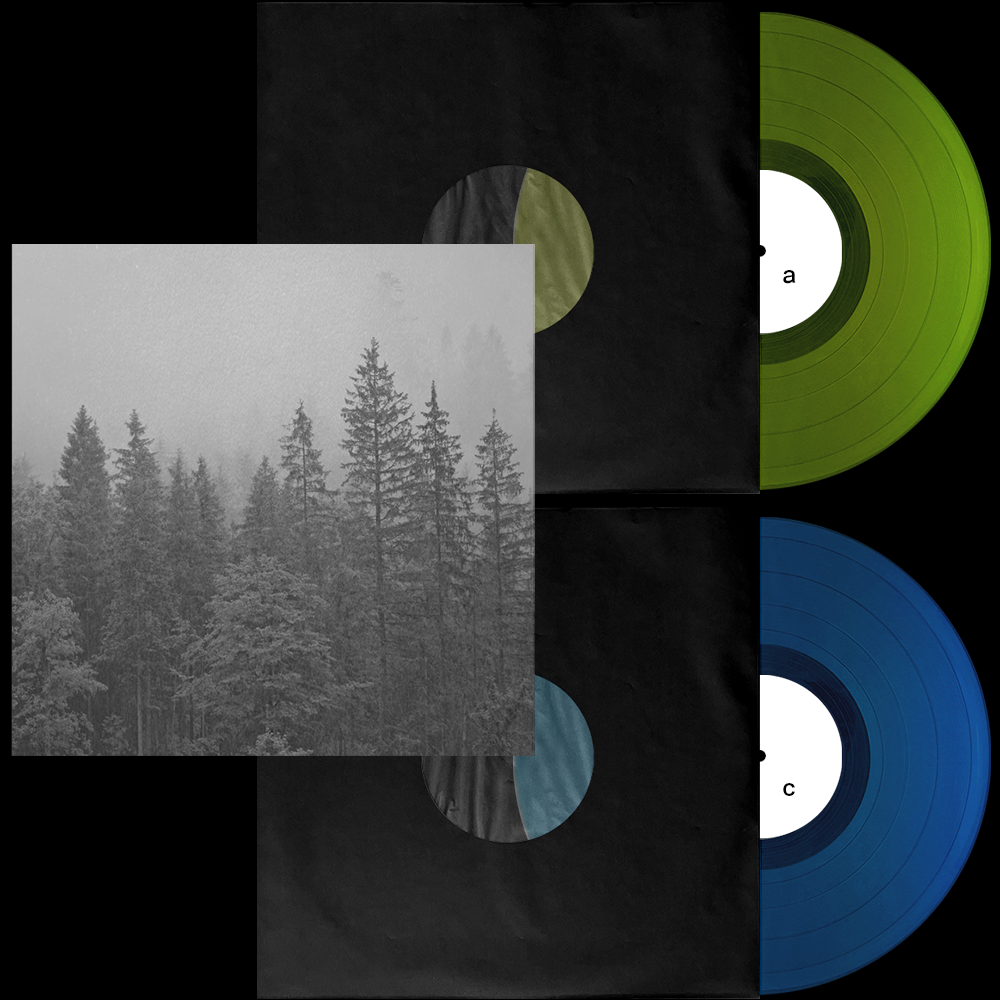 300x 12" 2xLP Classic Bundle